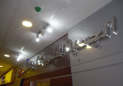 DSCN3150-copy-545x380