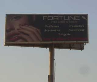 DSCN3312-copy-319x270