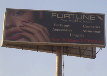 DSCN3313-copy-373x266